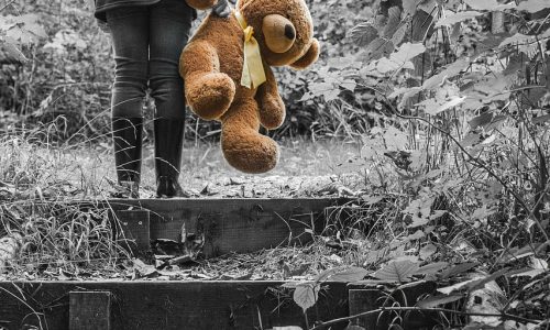 Quelle peluche animale offrir à sa conjointe ?