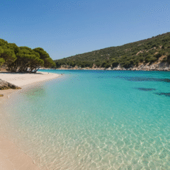 Plages cavalières & ranchs proches