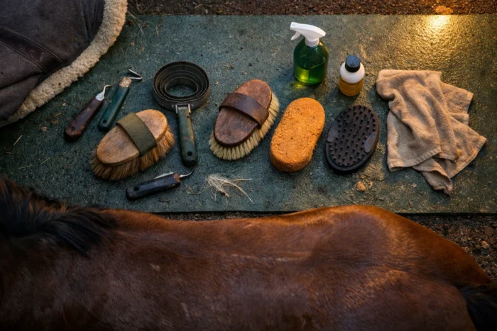 Le pansage avant la selle : dix minutes qui évitent les plaies